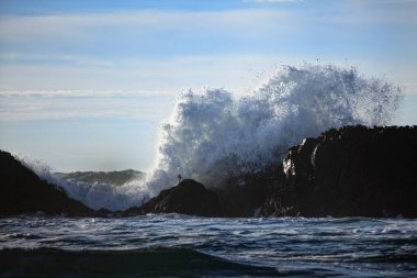 Büyük bir dalga üzerinde büyük gürültüyle çarpmak detaylı fotoğraf maruz lav rock resif Oregon kıyılarında.
