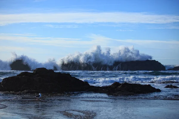 Büyük bir dalga üzerinde büyük gürültüyle çarpmak geniş görüş maruz lav rock resif Oregon kıyılarında.