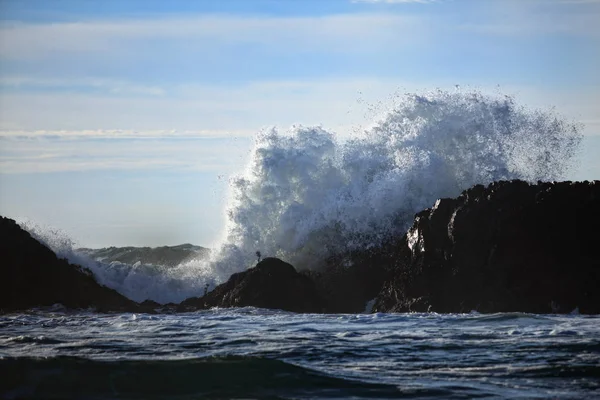 Büyük bir dalga üzerinde büyük gürültüyle çarpmak detaylı fotoğraf maruz lav rock resif Oregon kıyılarında.