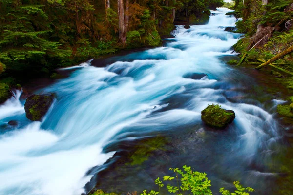 Tek rock akan bir nehir ortasında oturur. Sebat, azim, dayanıklılık ve sebat kavramları.