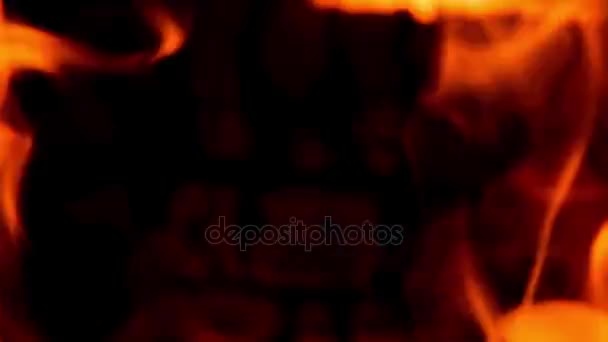 Belle flamme sur un bois 