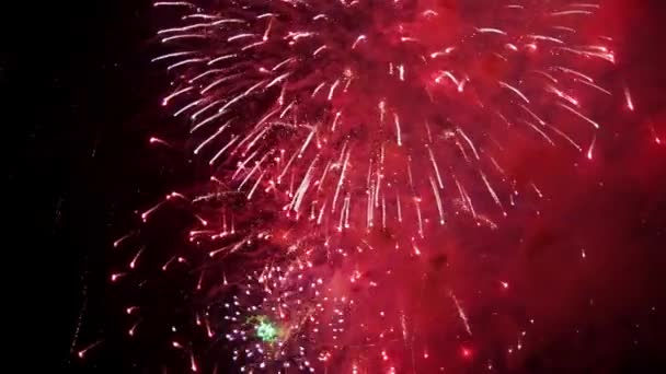 Levendige kleurrijke vuurwerk op een zwarte lucht — Stockvideo