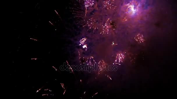 Fuegos artificiales vibrantes y coloridos en un cielo negro — Vídeo de stock