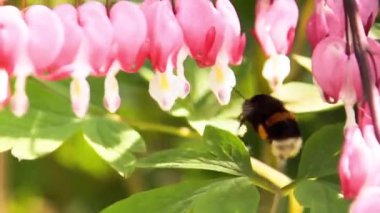 glassblower çalışma yakın çekim