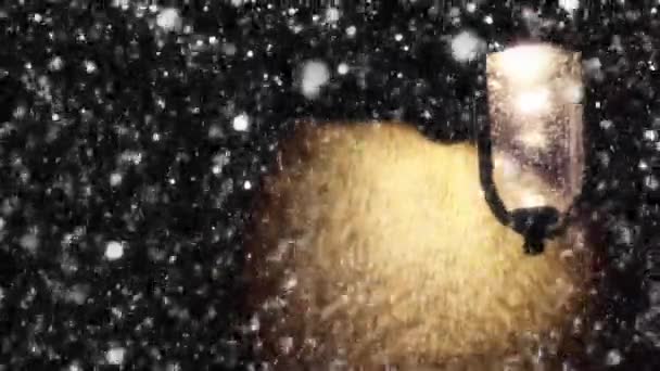 Natt vinter gatlykta med fallande snö — Stockvideo