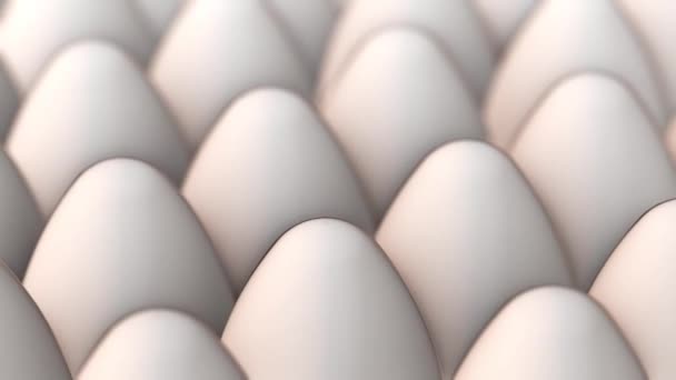 Vidéo panoramique d "œufs blancs 