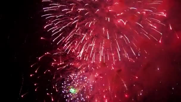 Levendige kleurrijke vuurwerk op een zwarte lucht — Stockvideo