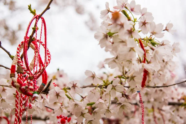 Rote orientalische Zierpflanzen auf einem blühenden Kirschbaum — Stockfoto