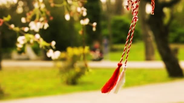 Traditionell folkmusik ornament på blommande körsbärsträd — Stockvideo