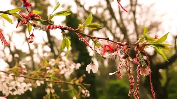 Ornamenti popolari tradizionali su albero ciliegio in fiore — Video Stock