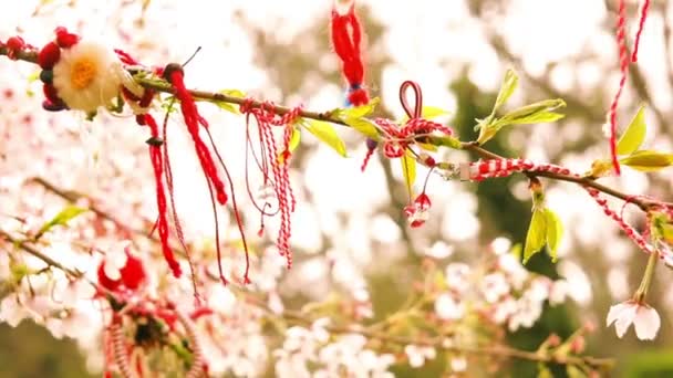 Traditional folk ornaments on blooming cherry tree — Stock Video