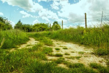 Tarlalardan geçen köy yolu.