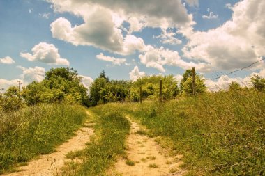 Tarlalardan geçen köy yolu.