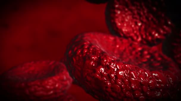 Células sanguíneas realistas - animação 4K . — Vídeo de Stock