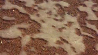 Bir plaj portre üzerinde dalgalar deniz