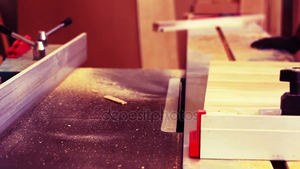 家具工場の木工ワーク ショップで木材の切断 — ストック動画