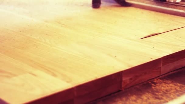 Corte de madera en un taller de carpintería de una fábrica de muebles — Vídeos de Stock