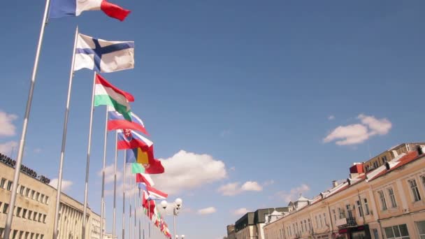 European Union countries flags waving — Stock Video