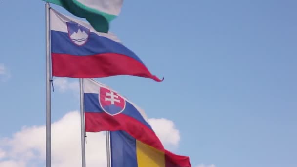 Powiewają flagi państw Unii Europejskiej — Wideo stockowe
