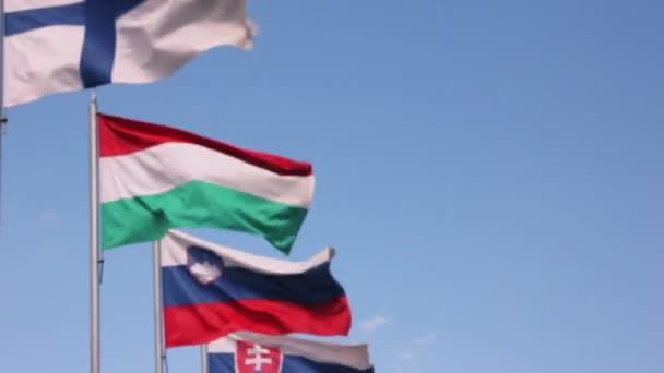 Países de la Unión Europea banderas ondeando — Vídeos de Stock