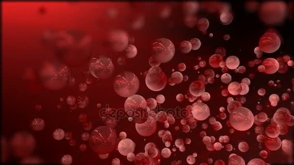 Bright glossy red spheres flying toward the camera. — Stock Video