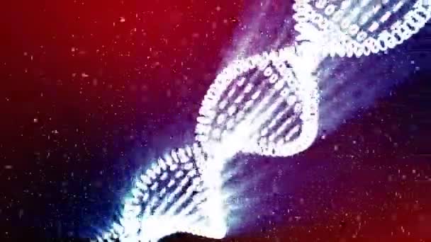 Dna oluşumu. DNA iplikçiklerin tek tek öğeleri monte edilir — Stok video