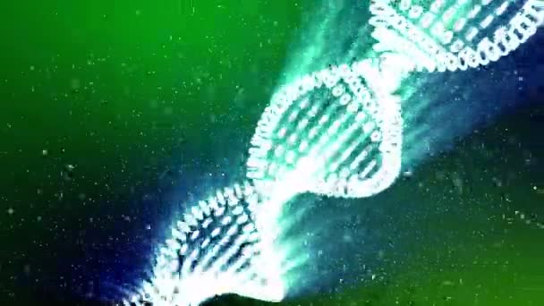 Bildandet av Dna. DNA-strängarna monteras från enskilda element — Stockvideo