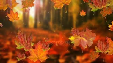 Sonbahar yaprakları yavaş çekimde düşüyor ve güneş sonbahar yapraklarında parlıyor..