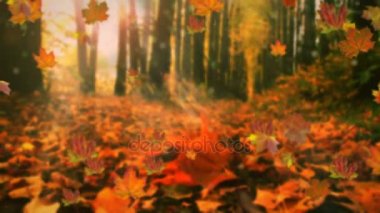 Sonbahar yaprakları yavaş çekimde düşüyor ve güneş sonbahar yapraklarında parlıyor..