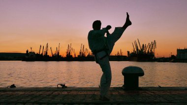 taekwondo mücadeleci bir günbatımı üzerinde deniz üzerinde silüeti