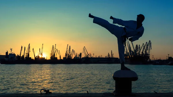 Silueta de un luchador taekwondo en una puesta de sol sobre el mar Imágenes de stock libres de derechos