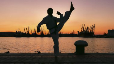 taekwondo mücadeleci bir günbatımı üzerinde deniz üzerinde silüeti