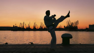 taekwondo mücadeleci bir günbatımı üzerinde deniz üzerinde silüeti