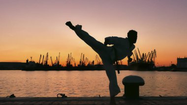 taekwondo mücadeleci bir günbatımı üzerinde deniz üzerinde silüeti