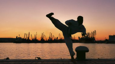 taekwondo mücadeleci bir günbatımı üzerinde deniz üzerinde silüeti