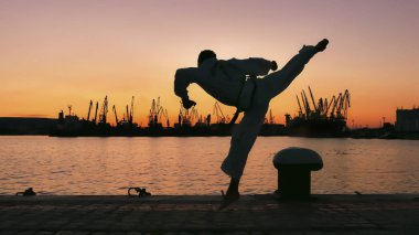 taekwondo mücadeleci bir günbatımı üzerinde deniz üzerinde silüeti