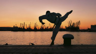 taekwondo mücadeleci bir günbatımı üzerinde deniz üzerinde silüeti