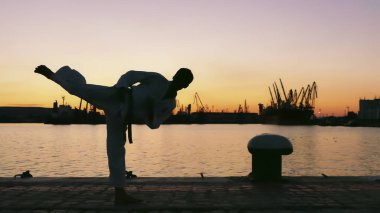taekwondo mücadeleci bir günbatımı üzerinde deniz üzerinde silüeti