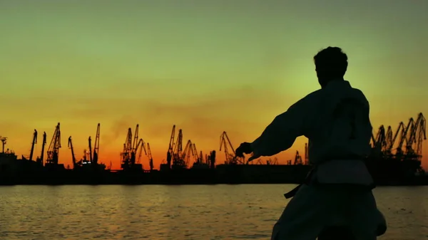 silhouette of a taekwondo fighter on a sunset over sea