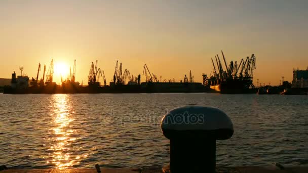 Cargo port cranes silhouette on sunset — Stock Video