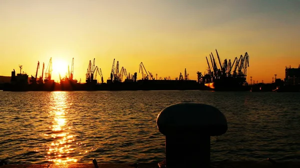 cargo port cranes silhouette on sunset