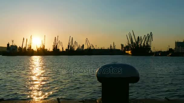 Carico porto gru silhouette al tramonto — Video Stock