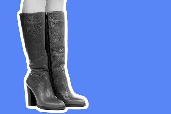 Γυναικεία Παπούτσια Μακριά Λεπτά Γυναικεία Πόδια Φοράνε Ψηλές Μπότες Μακέτα — Φωτογραφία Αρχείου