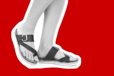 Bayan giysi ayakkabısı. Deri sandalet giyen uzun ince kadın bacakları. Fotokopi alanı olan moda modeli. Klasik ve günlük kıyafet konsepti. Ayrıntılı yakın çekim stüdyo çekimi. Dergi tarzı moda kolajı