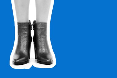 Bayan giysi ayakkabısı. Yüksek topuklu ayakkabı giyen uzun ince kadın bacakları. Fotokopi alanı olan moda modeli. Klasik ve günlük kıyafet konsepti. Ayrıntılı yakın çekim stüdyo çekimi. Dergi tarzı moda kolajı