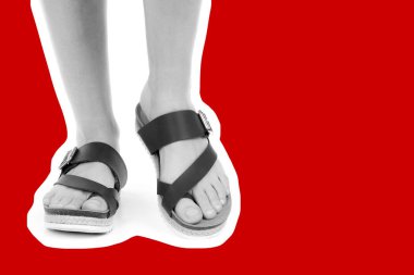 Bayan giysi ayakkabısı. Deri sandalet giyen uzun ince kadın bacakları. Fotokopi alanı olan moda modeli. Klasik ve günlük kıyafet konsepti. Ayrıntılı yakın çekim stüdyo çekimi. Dergi tarzı moda kolajı