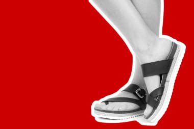 Bayan giysi ayakkabısı. Deri sandalet giyen uzun ince kadın bacakları. Fotokopi alanı olan moda modeli. Klasik ve günlük kıyafet konsepti. Detaylı yakın çekim stüdyo çekimi Magazin tarzı moda kolajı