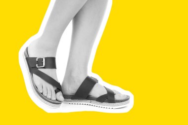 Bayan giysi ayakkabısı. Deri sandalet giyen uzun ince kadın bacakları. Fotokopi alanı olan moda modeli. Klasik ve günlük kıyafet konsepti. Ayrıntılı yakın çekim stüdyo çekimi. Dergi tarzı moda kolajı