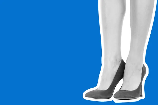 Bayan Giysi Ayakkabısı Uzun Ince Kadın Bacakları Yüksek Topuklu Ayakkabı — Stok fotoğraf