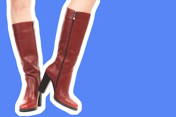 Dames Outfit Schoenen Lange Slanke Vrouwelijke Benen Dragen Hoge Hak — Stockfoto